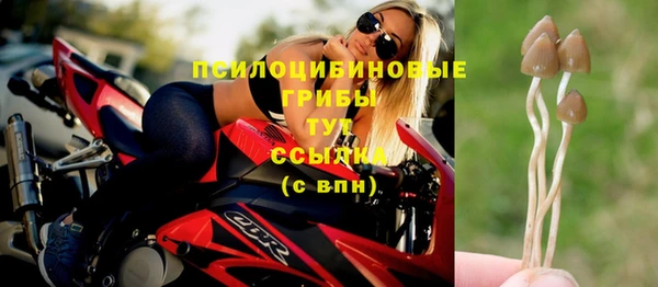 кристаллы Алзамай
