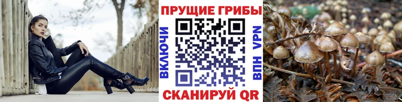 ОМГ ОМГ ссылки  Соликамск  Псилоцибиновые грибы мухоморы  закладки 