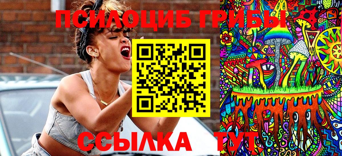 где купить наркотик  Вход с VPN  Галлюциногенные грибы GOLDEN TEACHER  Соликамск  Псилоцибиновые грибы Psilocybe 