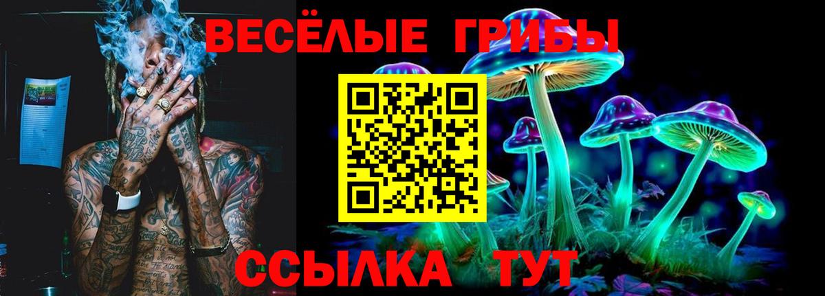 Псилоцибиновые грибы прущие грибы Соликамск